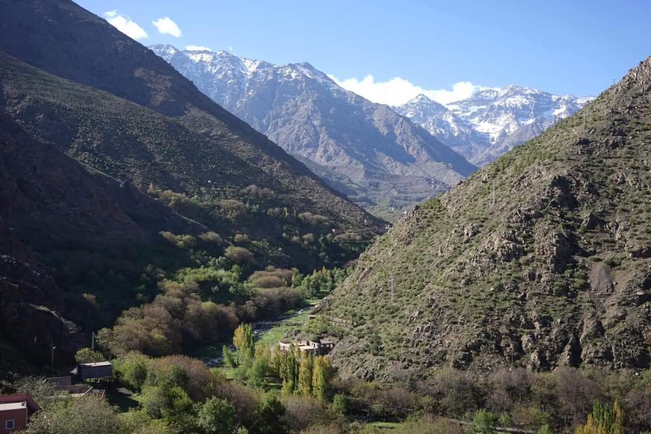 Guest house Berber Family